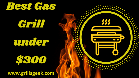 Best gas grill under $300